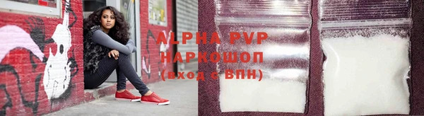 прущие крисы Белокуриха