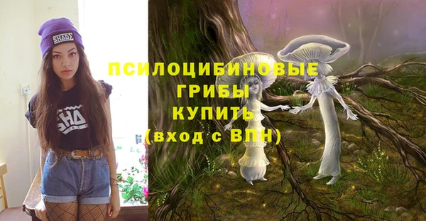 прущие крисы Белокуриха