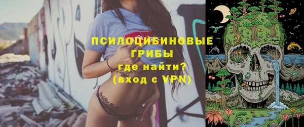 прущие крисы Белокуриха